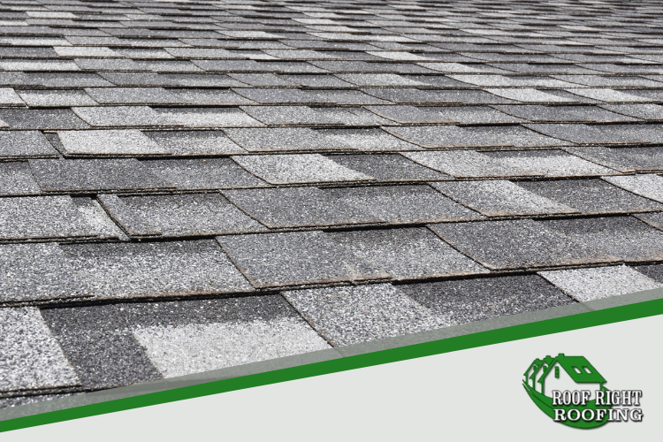 You should keep an eye on your roof and call Oakland roof repair services right away when something goes wrong.