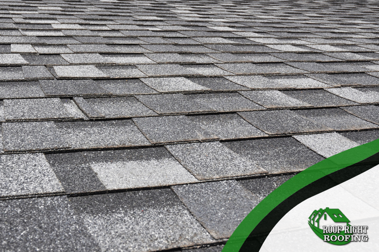 Orinda roofer