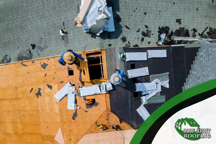 asphalt shingle roof replacement