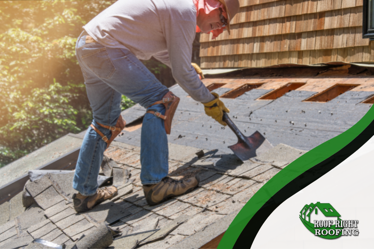 Roofing Replacement: Why Winter Is the Best Time in Lafayette, CA