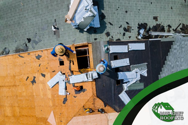 asphalt shingle roof replacement
