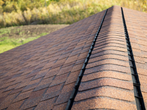 Homer with proper roof ridge ventilation to maintain energy efficiency