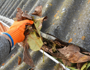 Cleaning gutters for fall roof preparation and Oakland roof repair