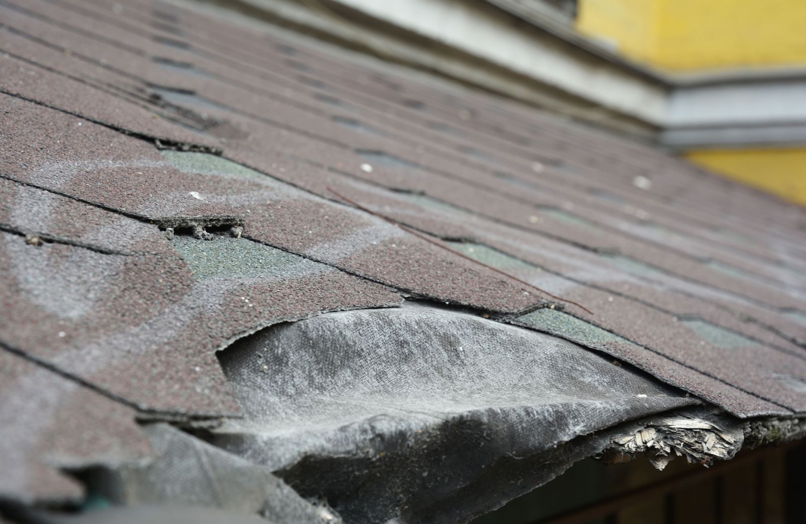 Roof Right Roofing Images