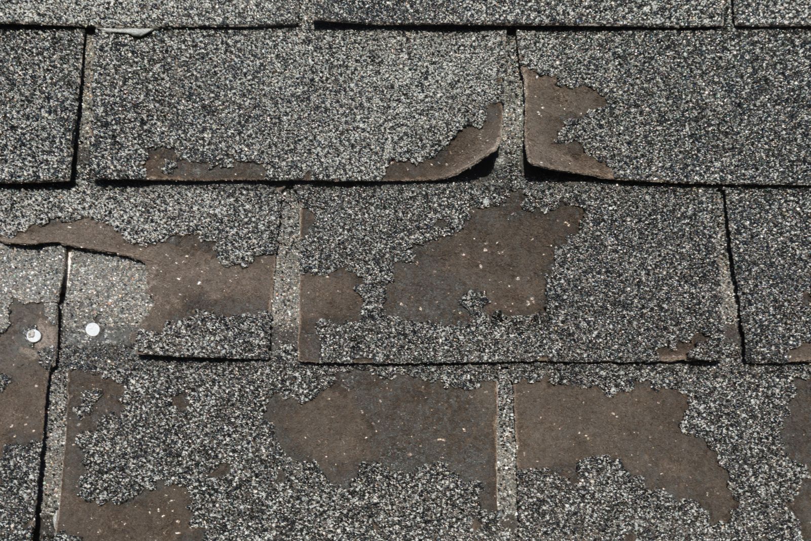 Roof Right Roofing Images