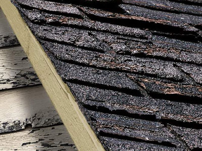 Roof Right Roofing Images